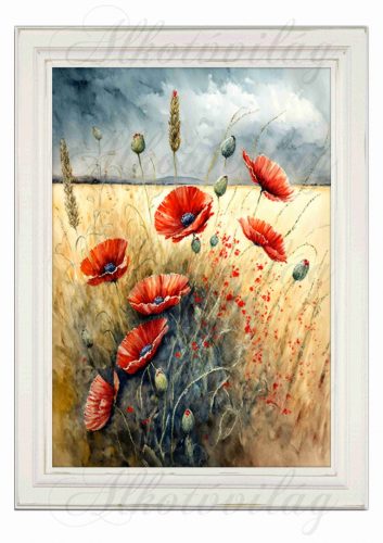 Akvarell stílusú képek keretben gyönyörű mező széli pipacsokkal