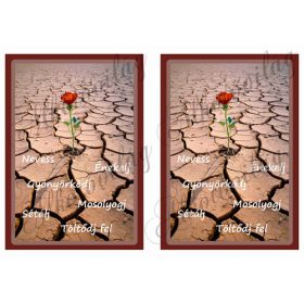 Virág szikes talajon motivációs szavakkal 2 db