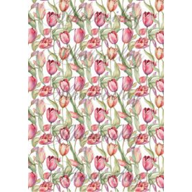 Csodálatos tulipánok