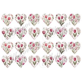 Tulipánok 4,5 cm magas szíveken