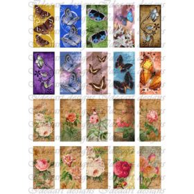 Pillangók tánca a rózsaligetben