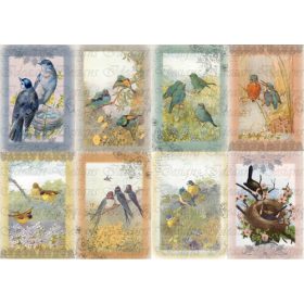 Madaras romantikus kártyák 