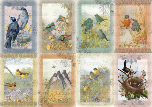 Madaras romantikus kártyák 