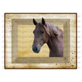 Lovas- kandikáló barna