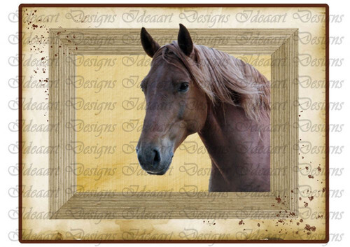 Lovas- kandikáló barna