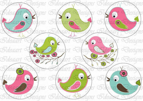 Színes kismadarak körökben