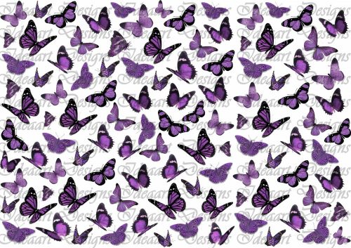 Pillangók lilában