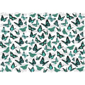 Pillangók türkizben