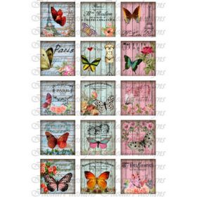 Pillangó kollázsok