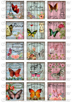 Pillangó kollázsok