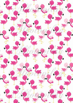 Flamingós csomag: flamingók fehér alapon