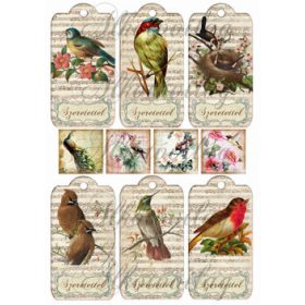 Madaras kártyák- szeretettel