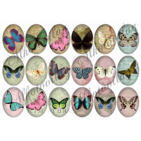 Pillangók oválisban