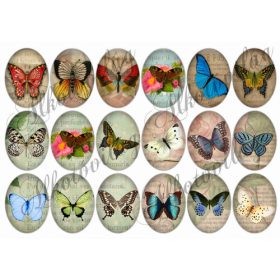 Pillangók oválisban 2