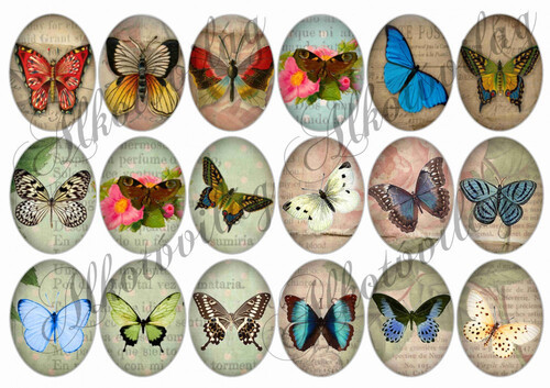 Pillangók oválisban 2