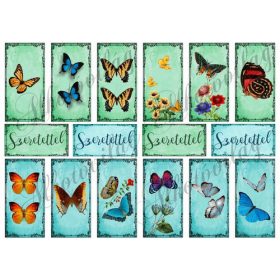 Pillangók téglalapokban - kékes