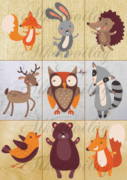 Erdei állatok textúrákon