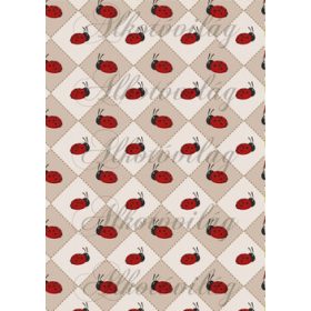 Katicák négyzetekben