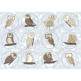 Barna baglyok kör alapon