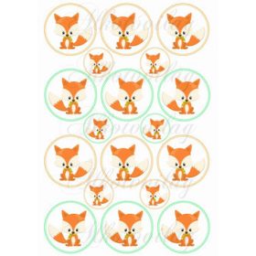 Rókák narancs-zöld körökben