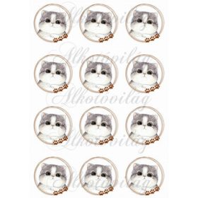 Cica tappancsos karikákban KICSIBEN