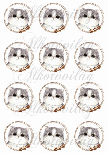 Cats in peg rings small