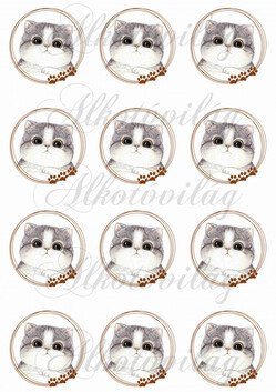 Cica tappancsos karikákban KICSIBEN