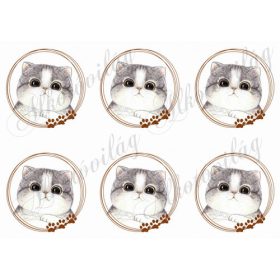 Cica tappancsos karikákban