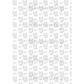 Cicák feketén-fehéren APRÓBAN