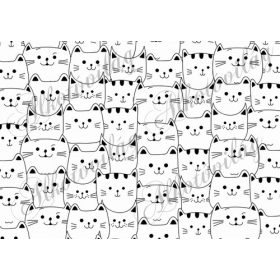 Cicák összebújva feketén-fehéren FEKVŐBEN