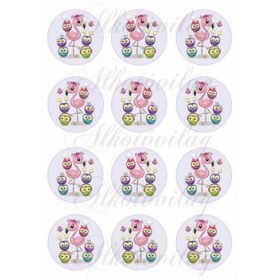 flamingók körökben KICSIBEN