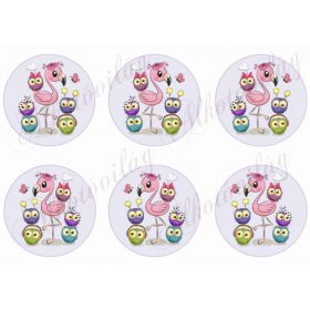 flamingók körökben