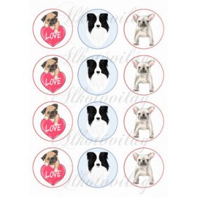 Mopsz, collie, bulldog KICSIBEN