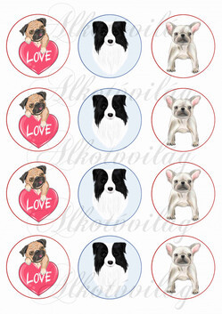 Mopsz, collie, bulldog KICSIBEN