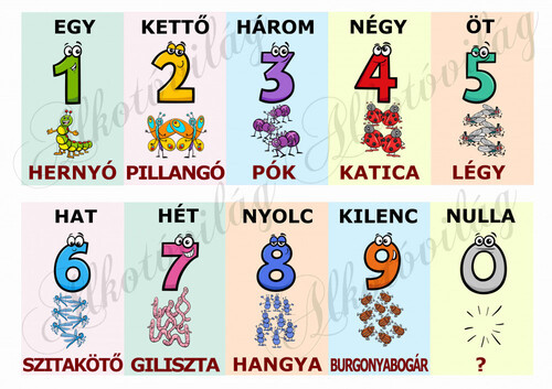 Számok állatokkal