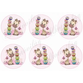 zsiráfok baglyokkal körökben