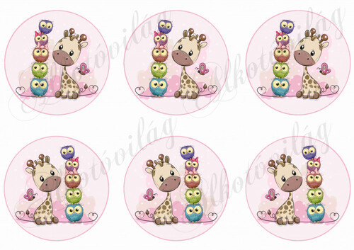 zsiráfok baglyokkal körökben