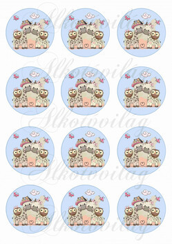 zsiráfok körökben KICSIBEN