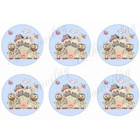 zsiráfok körökben