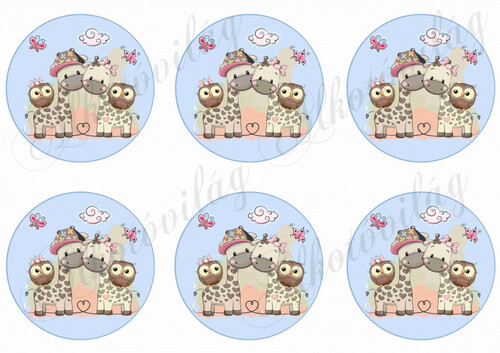 zsiráfok körökben