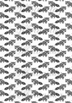 Kicsi borzok fehér háttérrel