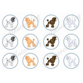 Uszkárok négy színben - körökben