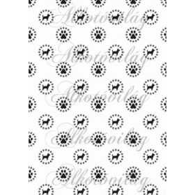 Kutyusok és tappancsok