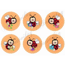 Mosolygós katicák narancssárga kör alapon