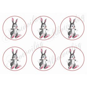 Nyuszik körökben - 6db