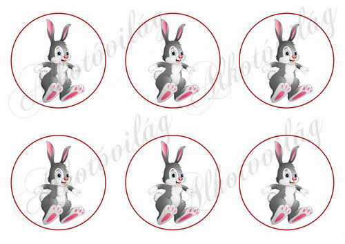 Nyuszik körökben - 6db