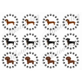 Tacsik tappancsos körökben