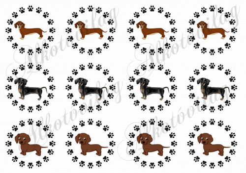 Tacsik tappancsos körökben