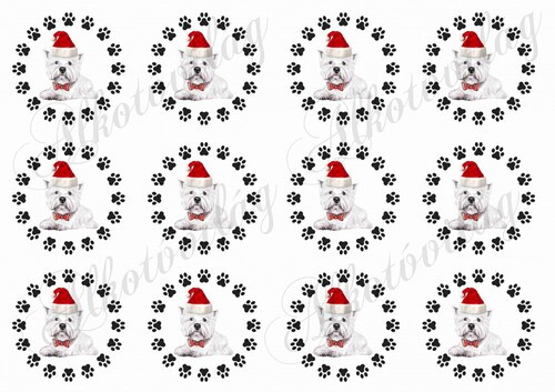 Tappancsos körök karácsonyi westie kutyussal