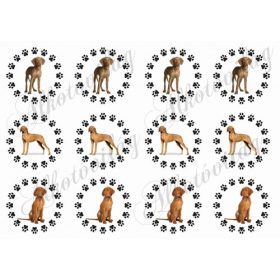 Tappancsos körök vizsla kutyusokkal